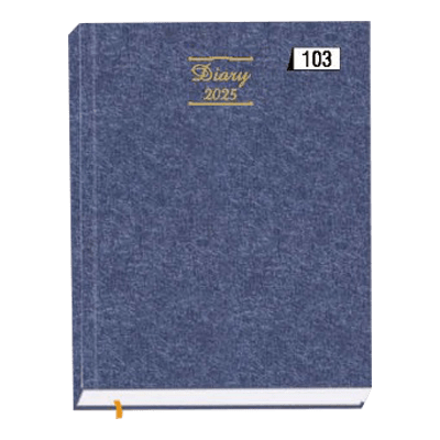 Mega Diaries